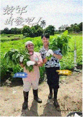 开麦吧朋友综艺封面